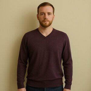 Ibex Men's Eggplant Purple V-neck Long Sleeve Merino Wool Blend Sweater